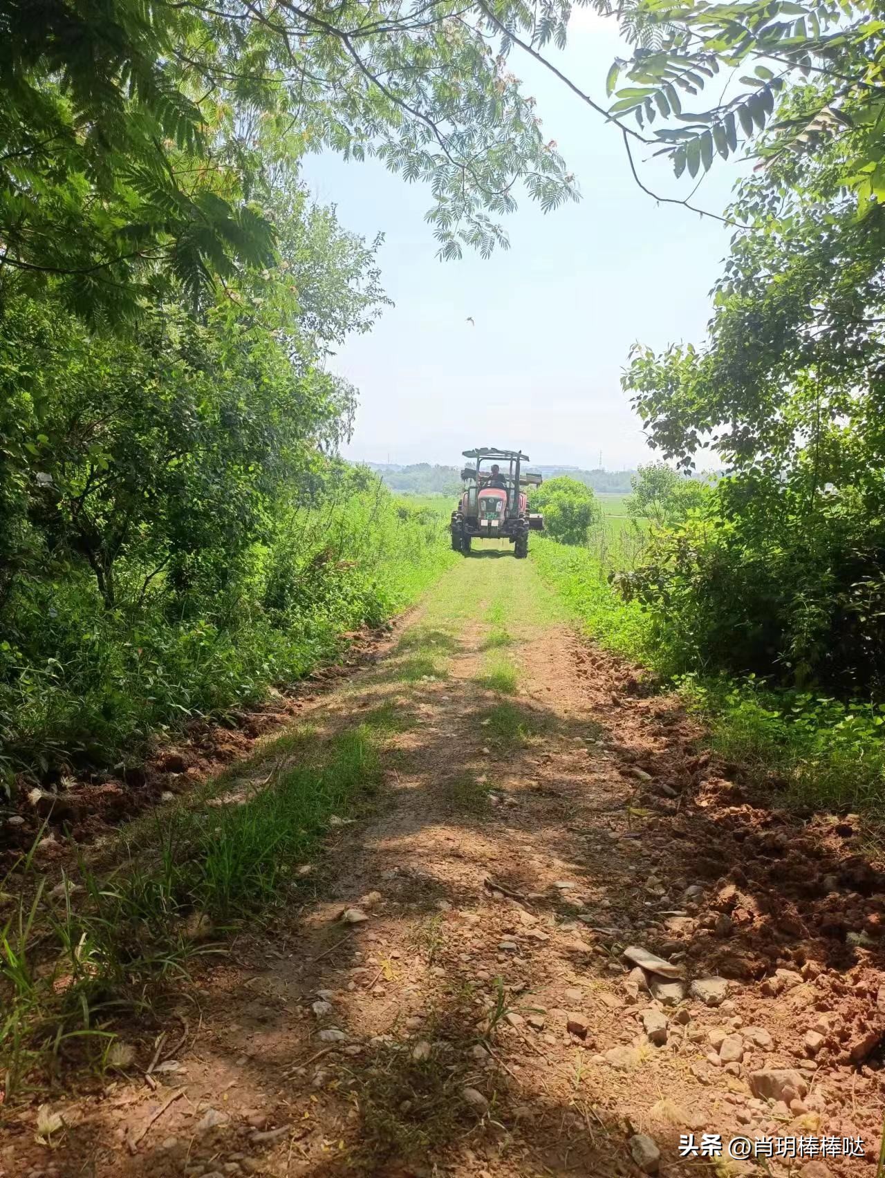 农田不是某人的暴富梦，应为农民的“致富经”！