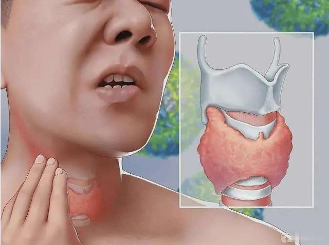 男生喉结与女生喉结有什么区别,为什么男生有喉结而女生没有