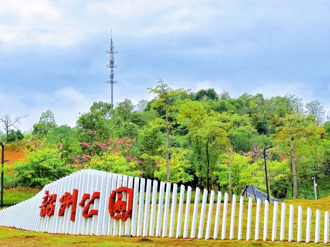 世界杯开始精彩,世界杯开始了没