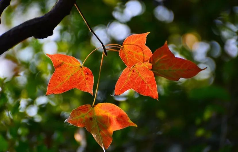 广州台山市二日游,台山川山群岛一日游