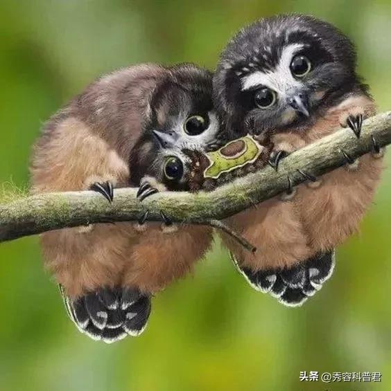 *拍偷**的夫妻生活照，羞羞的