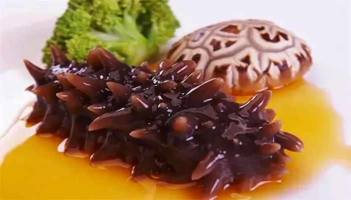 它历来被人们当作冬季进补的佳品,冬季滋补海参首选野生淡干海参