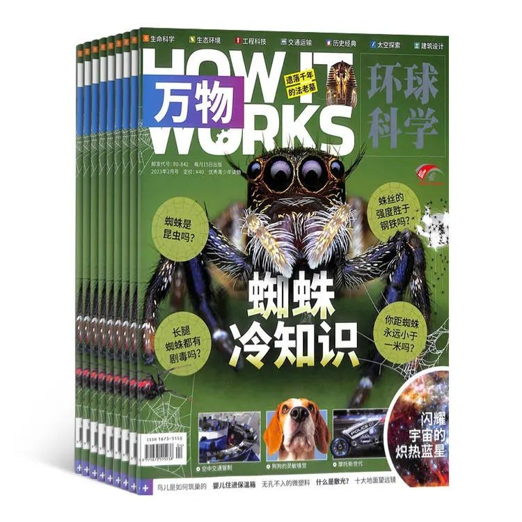 初中生暑假一定要做的几件事,初中生暑假不知道该干什么