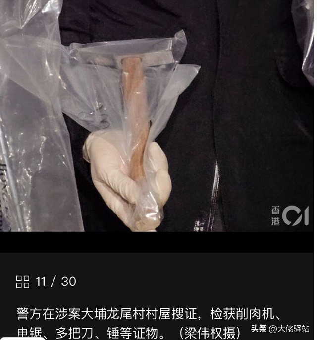 香港警方谈蔡天凤被害案,香港蔡天凤案最新进展