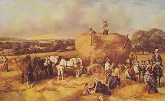 14-16世纪意大利农业经济的兴起与衰落