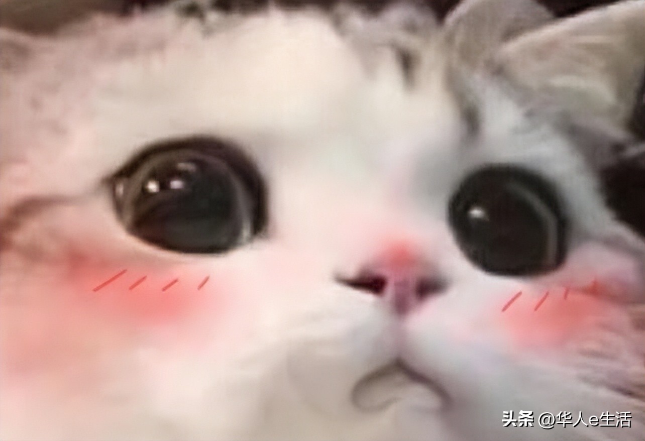 俄罗斯MTS卡最全解答：话费流量充值查询、激活、漫游等常见问题