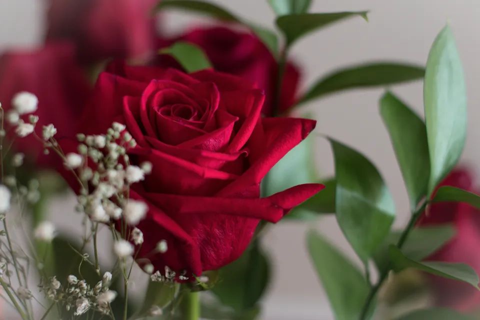 什么是喜欢什么是爱情,什么是喜欢什么是爱一句话概括