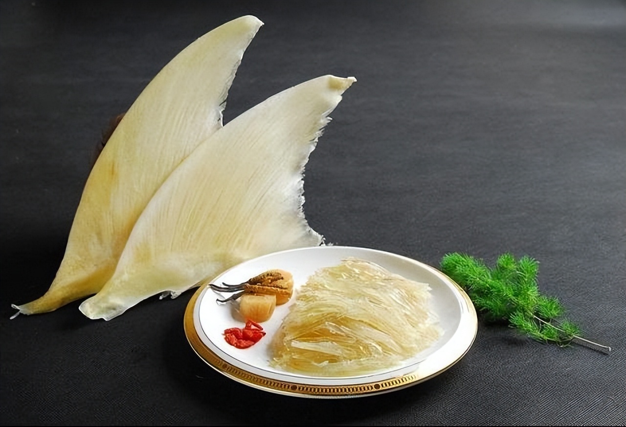 鲨鱼的鱼鳍为什么被割掉,鲨鱼为什么被割掉鱼翅