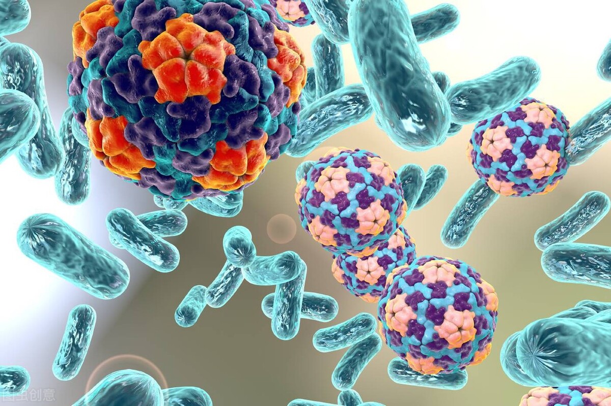 夏季疾病预防健康知识,夏季肠道传染病防控知识