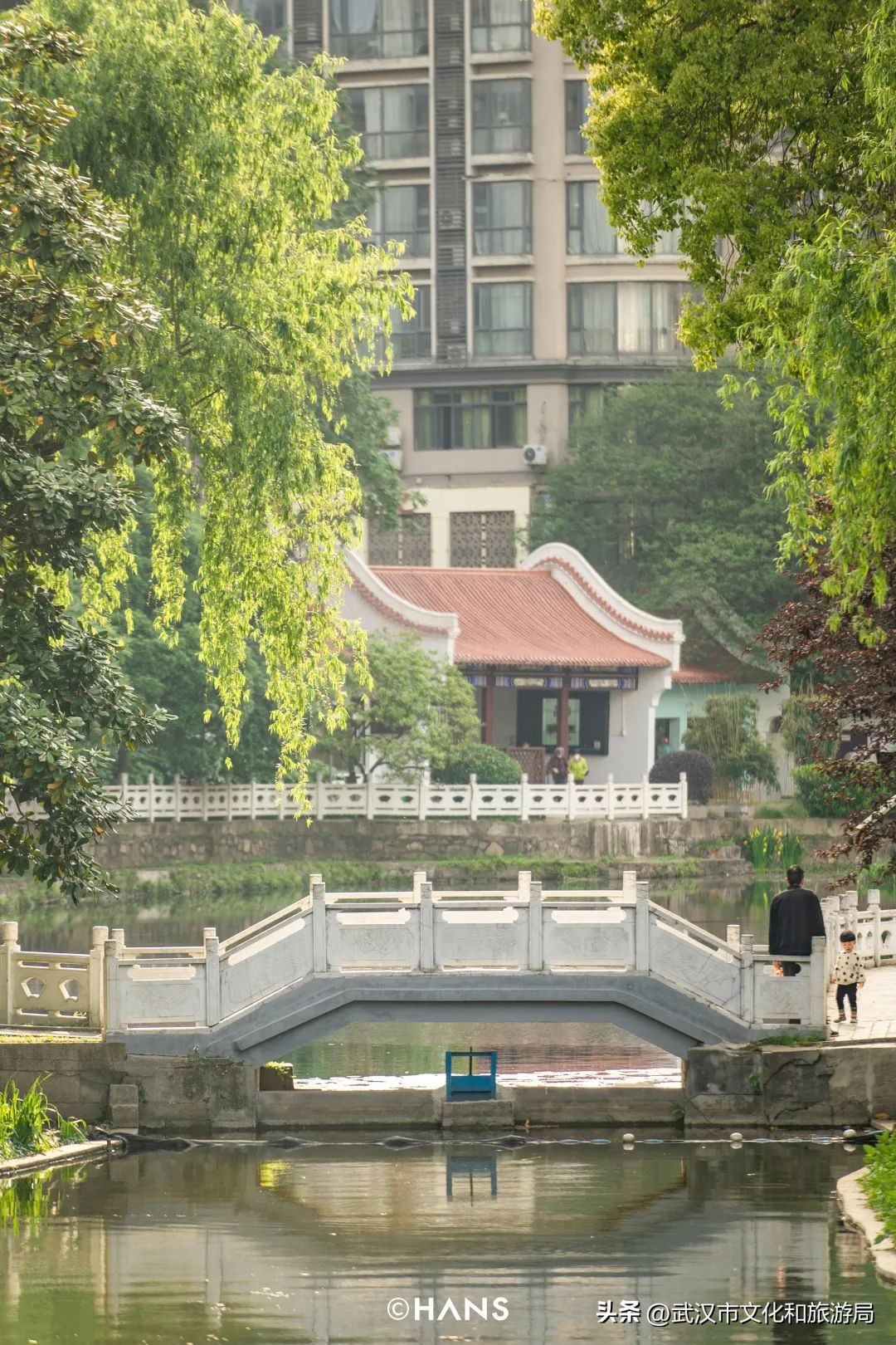 离武汉人最近的湿地，家楼下的10个宝藏小湖