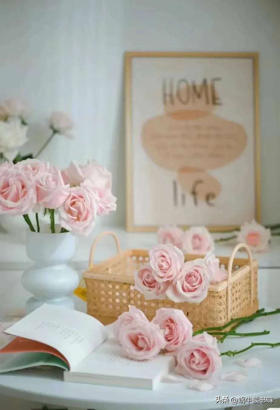 都只知道不忘初心却不知道下一句,不忘初心方得始终深度解析