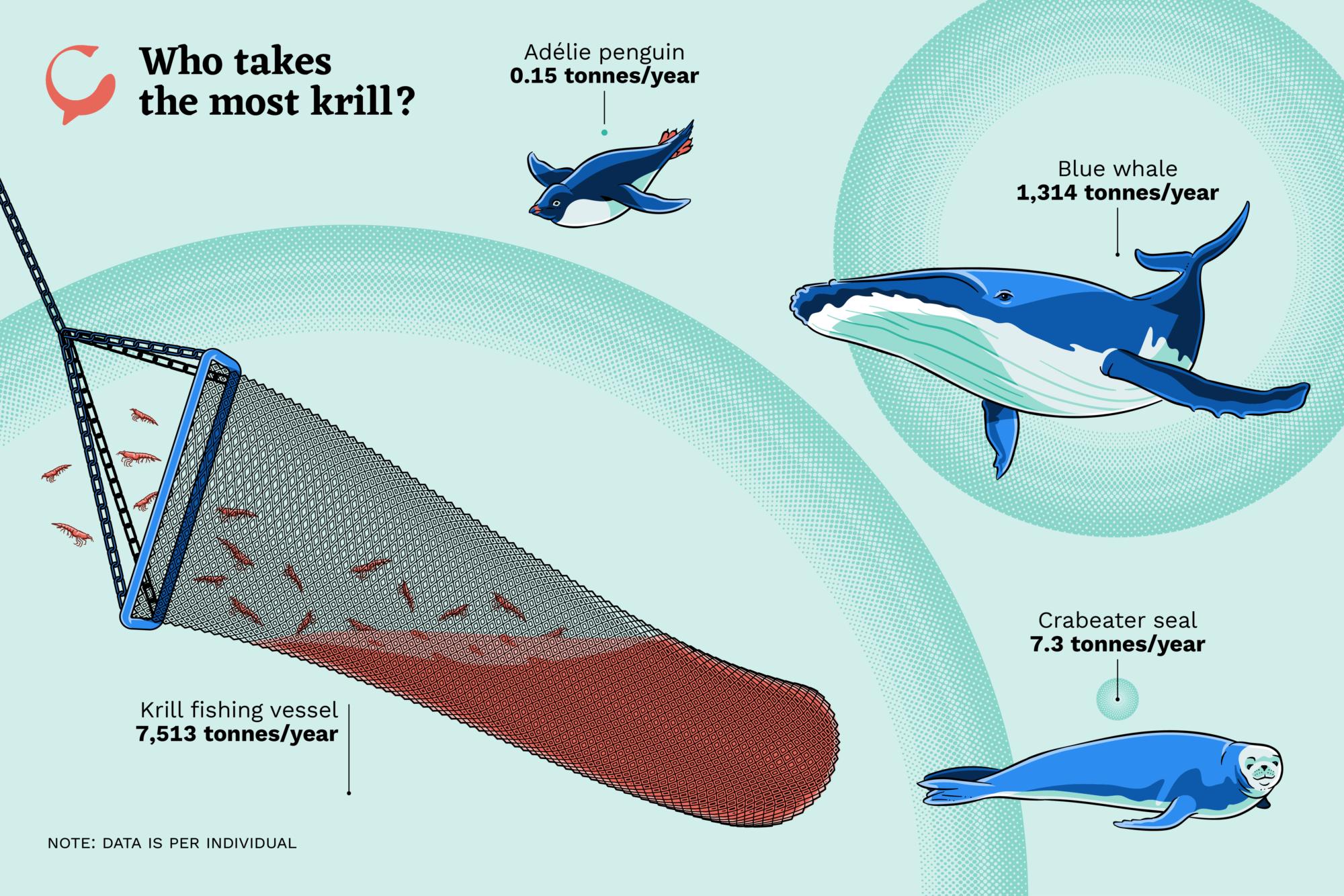 中国南极磷虾金矿,全球南极磷虾资源