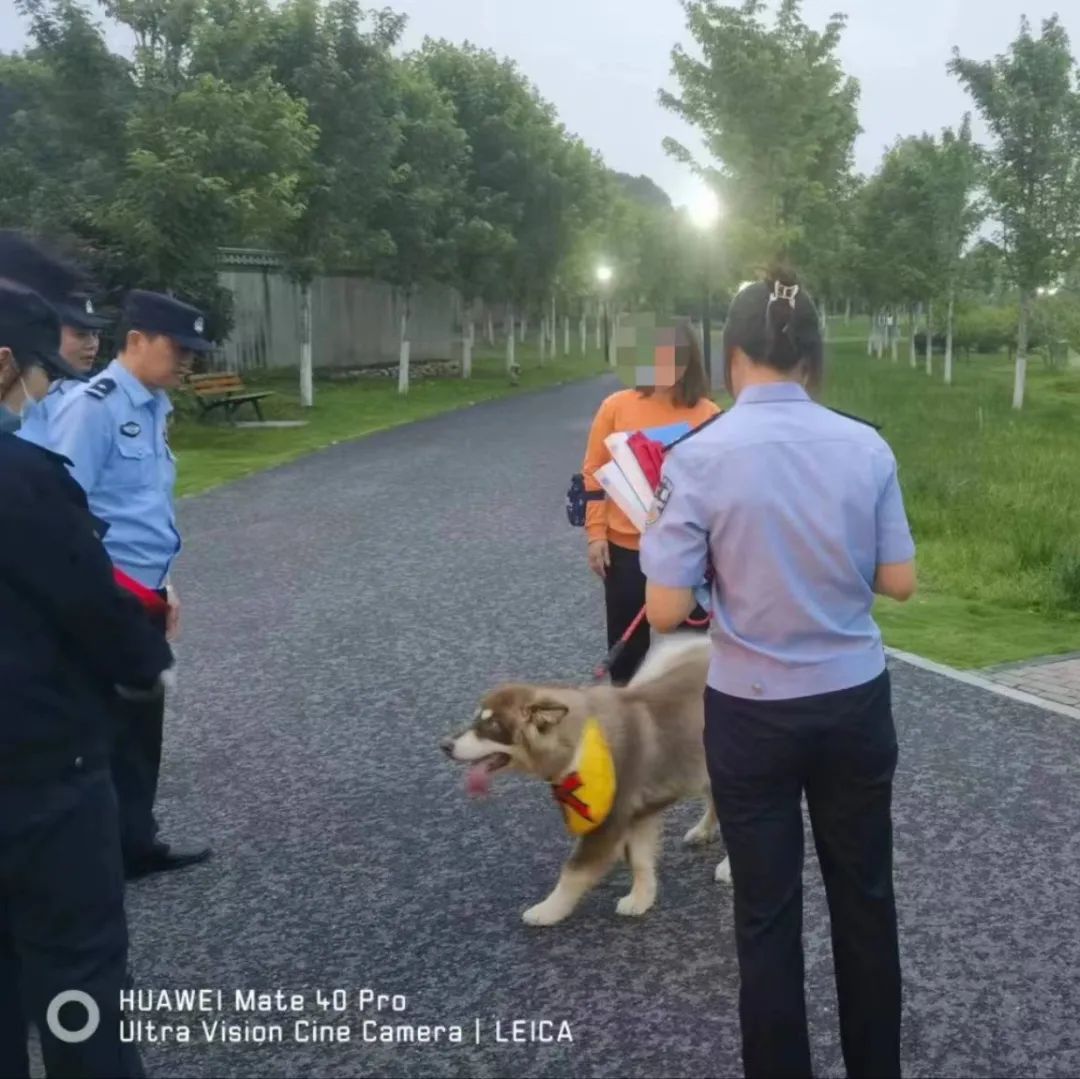 文明城市因不文明养犬被处罚,抚顺整治不文明养犬