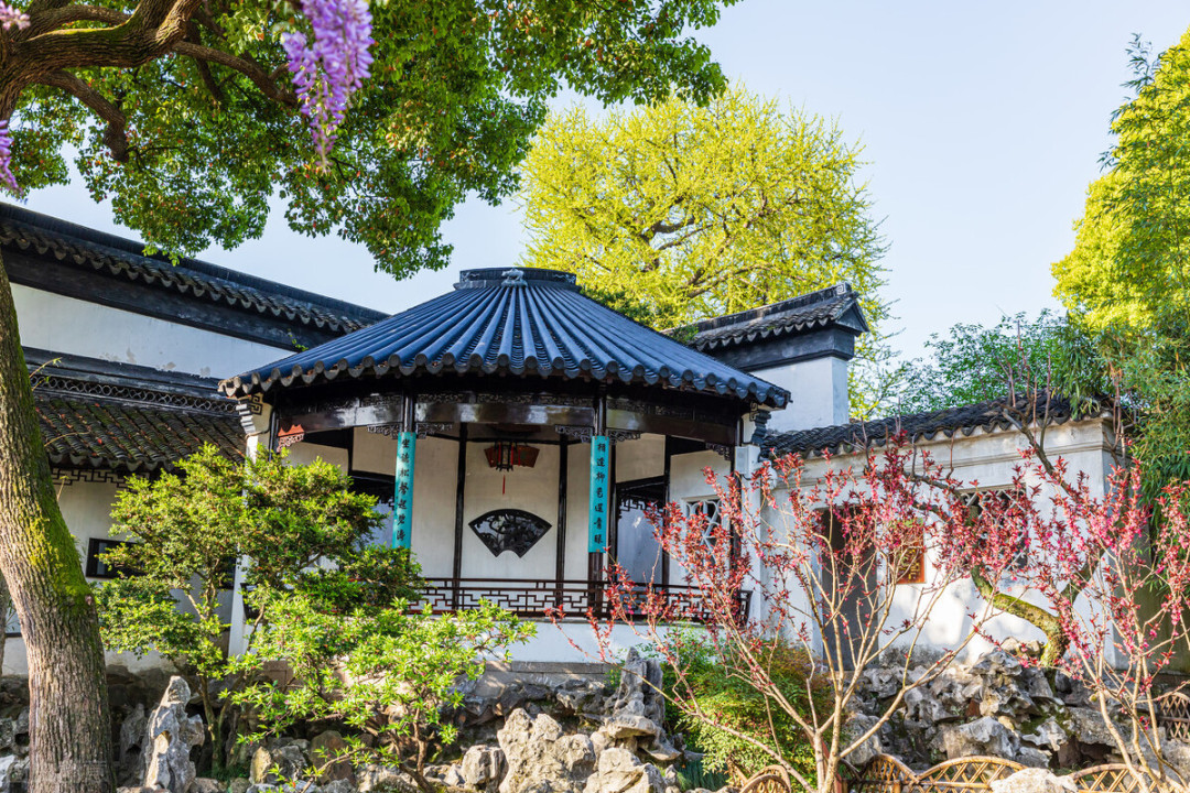 狮子林最有名的叠石假山,狮子林为什么叫假山王国