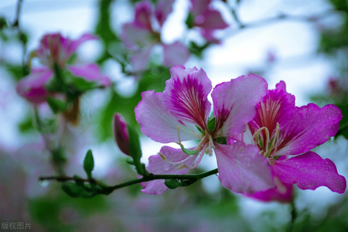 人生有一种境界叫做舍得,人生有一种境界叫留白