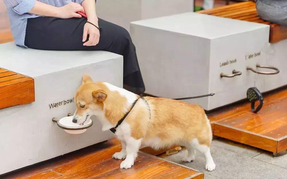 星巴克“租杯子”了！3天返还，随你造！这波环保操作可？