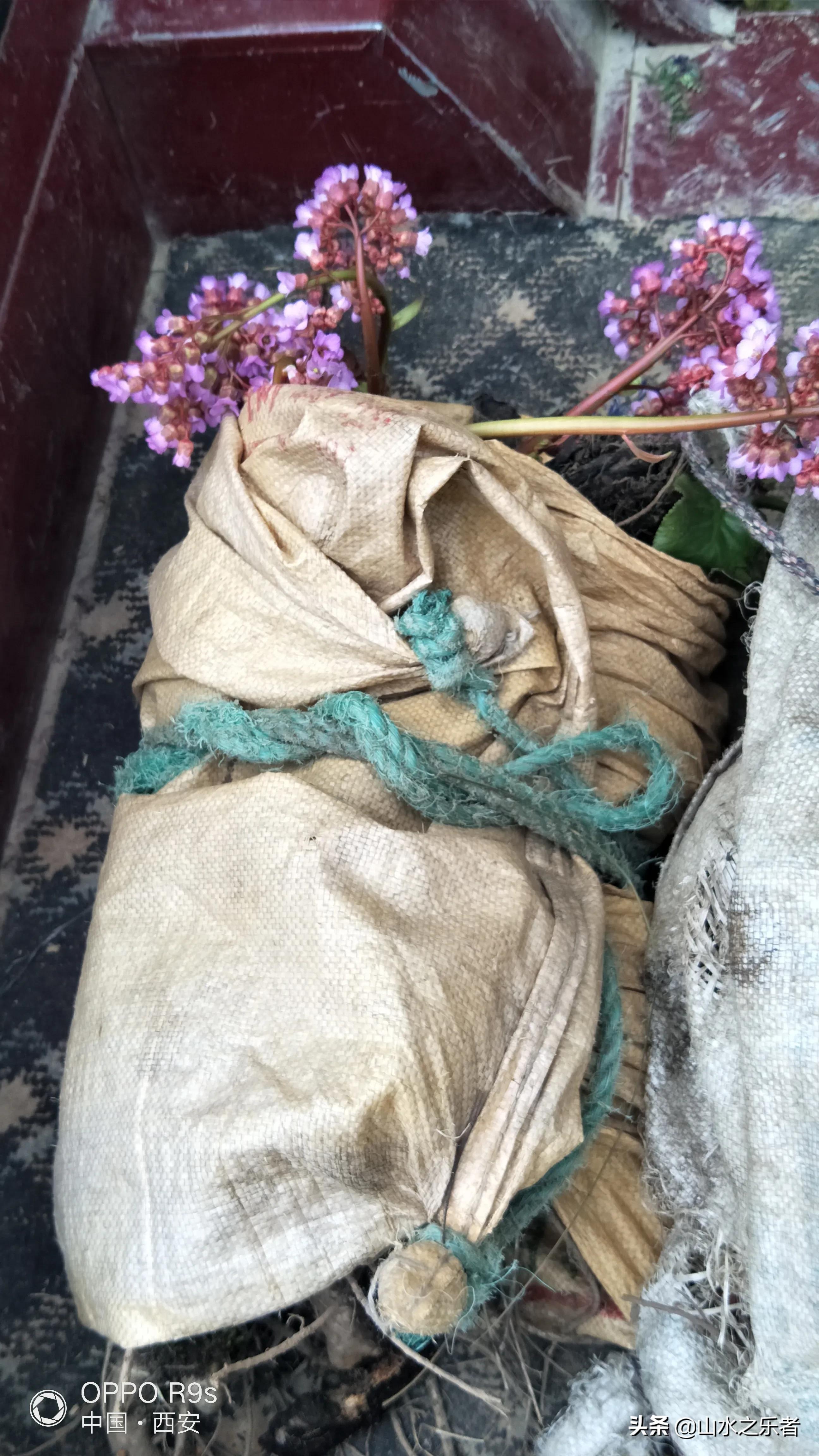 大峪穿越嘉午台,大峪穿越终南山