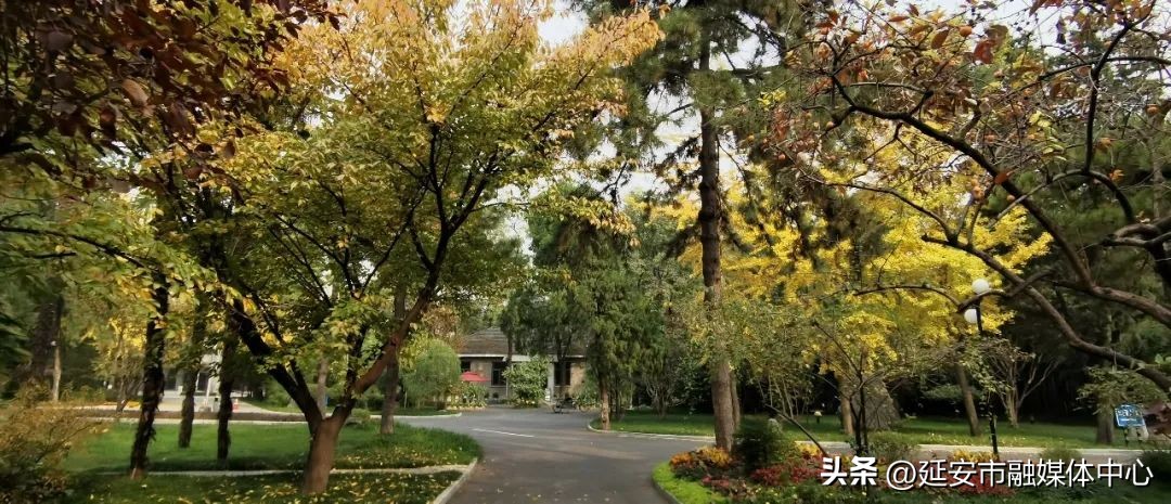 陕西宾馆迎来最佳观花赏景季节,陕西宾馆内景色