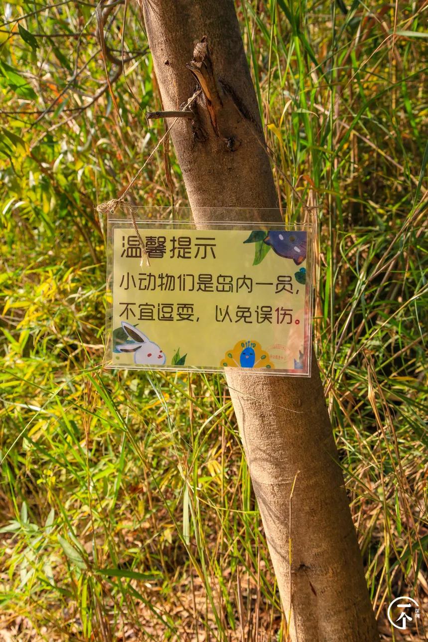 深圳4个绝美海岛,深圳值得游玩的小岛