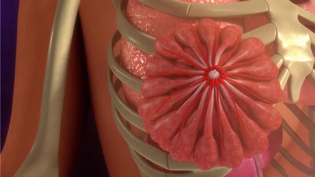 男性会患乳腺增生吗,男性会得乳腺增生吗