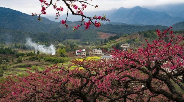 广东河源特产小吃,河源老城美食小吃