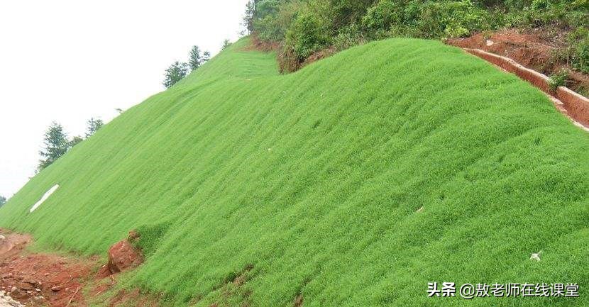草坪园林景观设计,园林景观和草坪景观区别