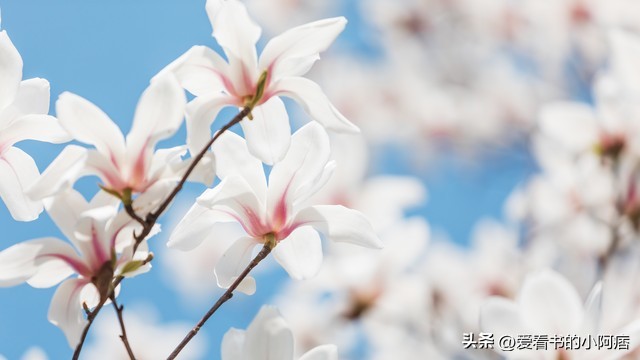 鏄ユ棩璇楄瘝闊抽,鏄ユ棩璇楄瘝瑙ｆ瀽