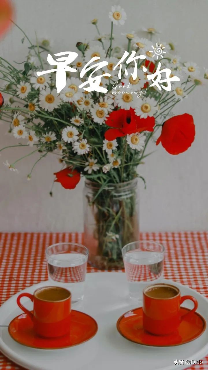 黎明将至抬头尽是朝阳什么意思,已知黎明将至抬头尽是朝阳含义