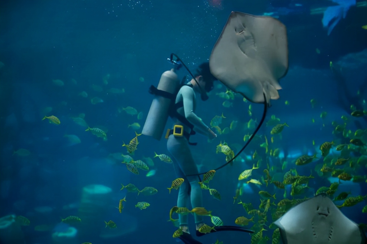 永泰青梅花开全部视频,永泰青梅丰收季节