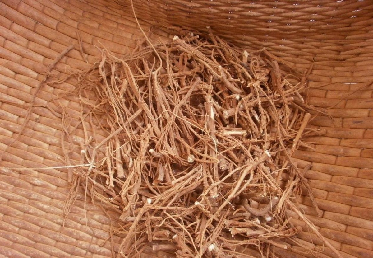 中医马志明治尿血验方,伤了阴血反复尿血中医医案