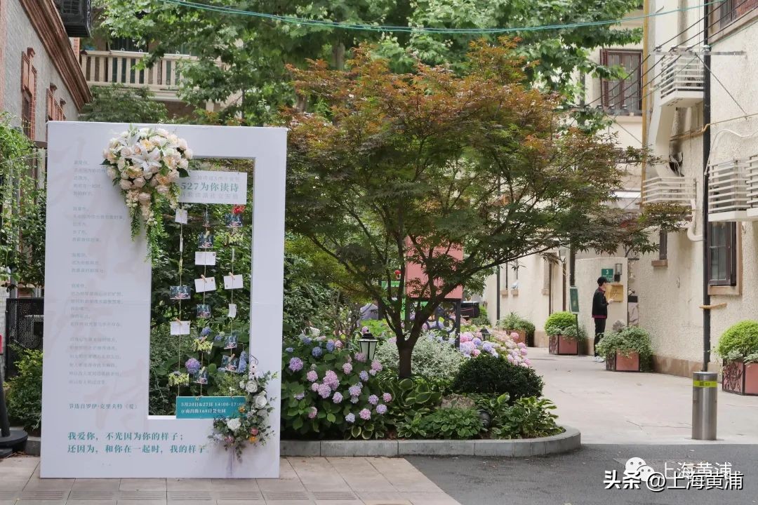 “一半·一半”项目启动：生活中既有烟火，也有诗意