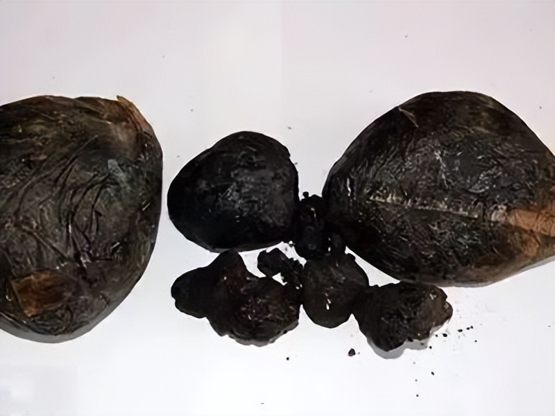 禁毒知识内容抄写,禁毒知识摘抄句子