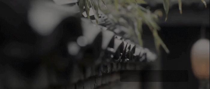 狄拉克对称性与麦克斯韦-洛伦兹方程：电磁和引力的统一理论