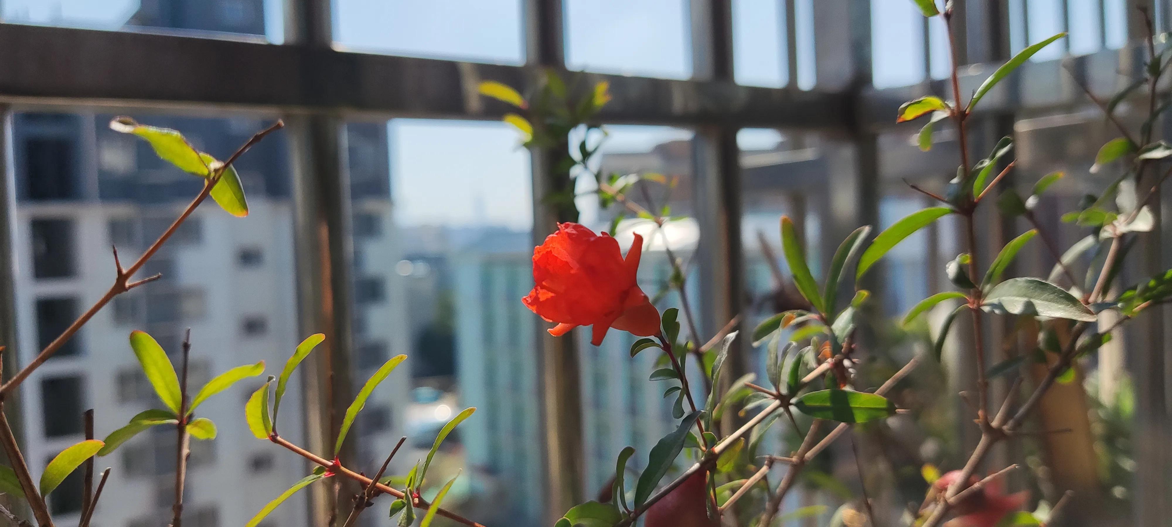 被封控都是因为什么原因,被封控一个月感言