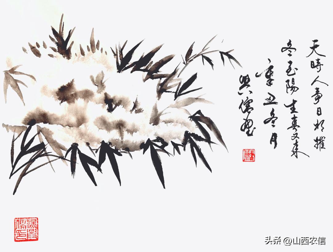 二十四节气冬至视频,冬至二十四节气作品