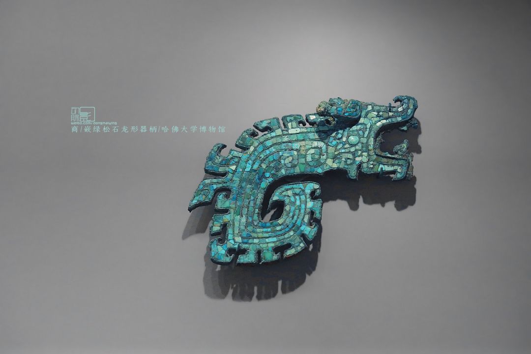 中国出土的两条龙图片,河南出土的中华第一龙