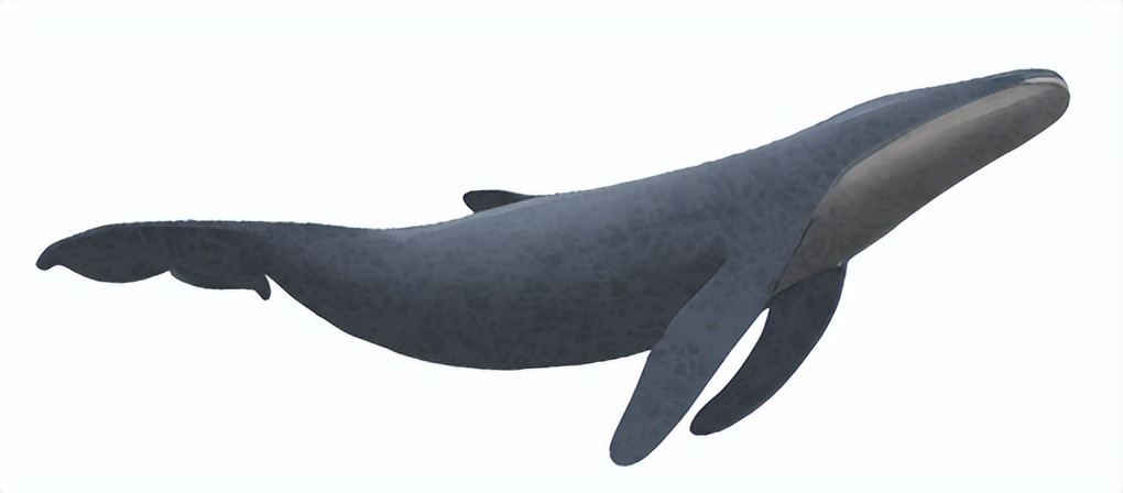 乡村*草烟**倒卖，一场停不下来的贪吃蛇游戏