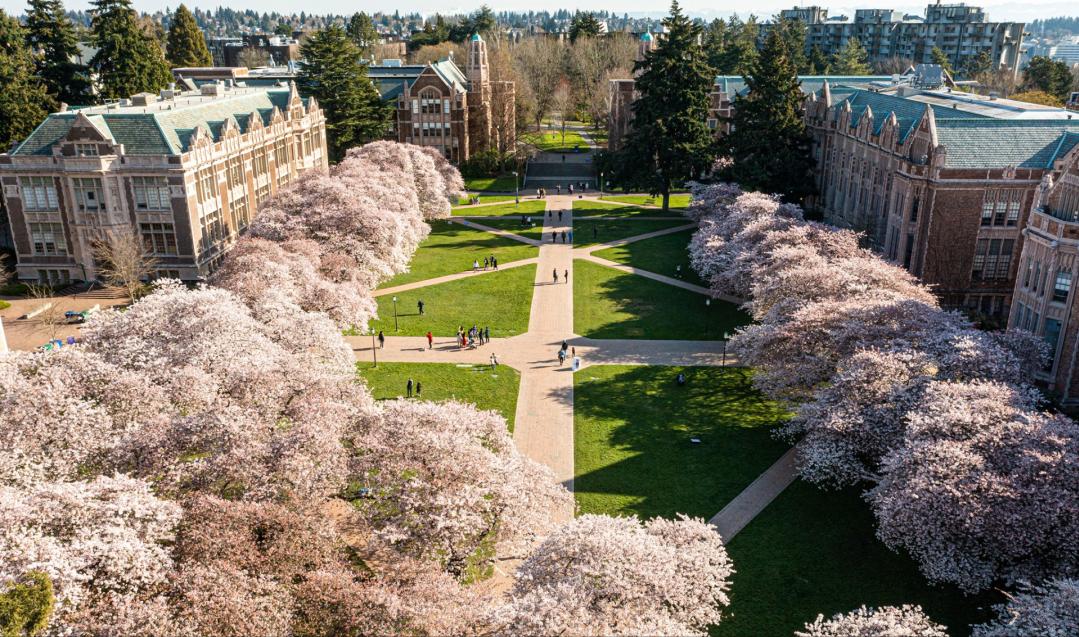 美国留学研究生录取率高的大学,录取率最低的50所美国大学