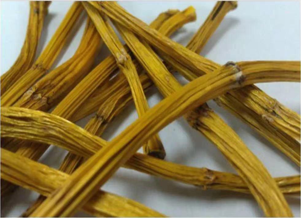 中药石斛对癌症有效吗,石斛清肺降火