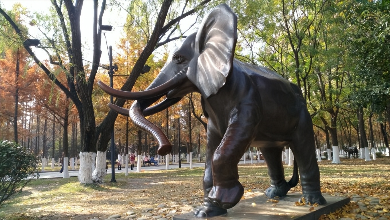 武汉友好城市视频,武汉友好城市联盟