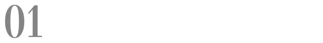 小红书上猫狗搜索热词有哪些？来看看这篇报告就知道了