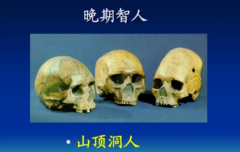 原始人是哪的,山顶洞人是猿人还是原始人