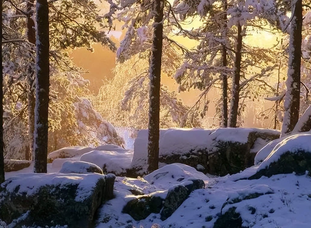 冬季的诉说聆听舒伯特《冬之旅》,舒伯特冬之旅是艺术歌曲还是歌剧