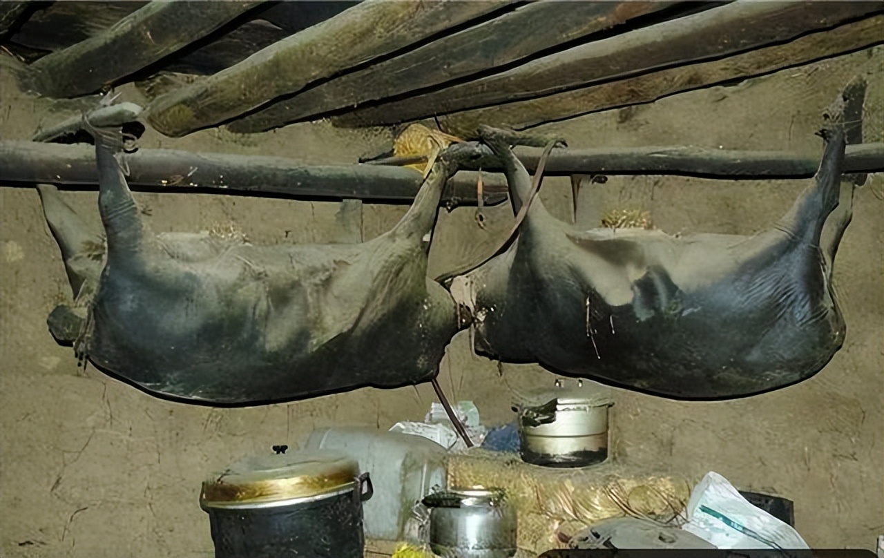 四川臭猪肉在房梁上的时候图片,四川臭猪肉悬挂房梁