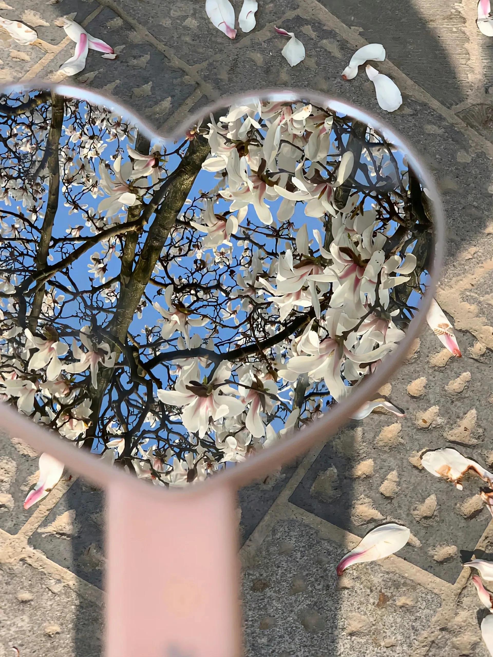 爱迎万难文字封面背景图,因为喜欢可迎万难背景图