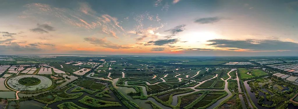 双沟生态苏酒,苏酒和双沟酒业的区别