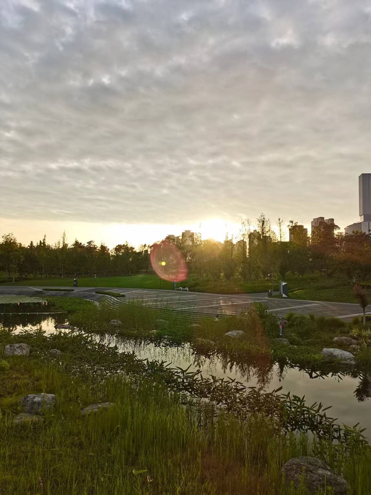 天府新区天府花香谷,成都天府新区花谷