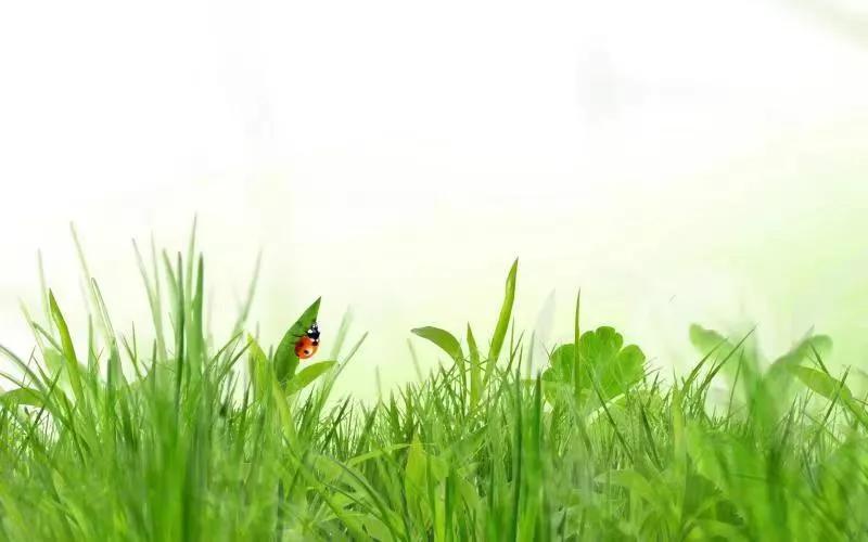 牙疼不是病的下半句,牙疼不是病段子