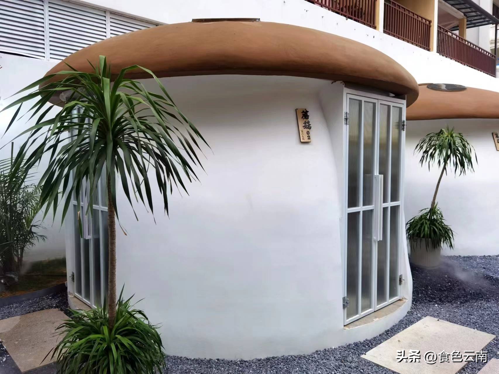 菌海森林野生菌火锅西双版纳,西双版纳野生菌推荐