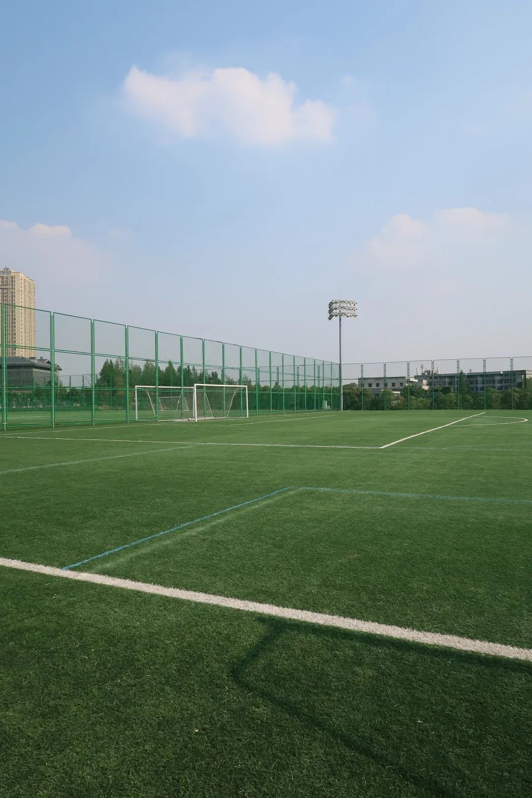 收藏价值的篮球推荐,收藏价值高乒乓球拍